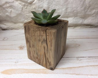 Succulent Pot - cactus pot - plant pot - rustic wood - planter - reclaimed wood - driftwood - succulent planter wood