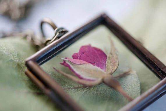 REAL FLOWER Rose Bronze Locket - Glass Locket Rose Real Flower Necklace - Feminine Gift for Women - Free Postage Worldwide