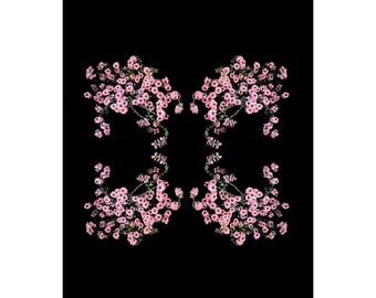 Limited Edition Fine Art Print-Flowers-Floral-Florography-Modern Art-Pink-Black-Flower-Abstract-Nature-Minimalist-Minimal-Interior Design