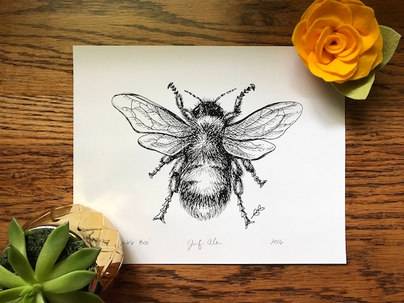 Bumble Bee Print from Original Pen & Ink Drawing Insect