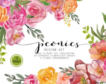 Floral clip art: "PEONY clip art" hand painted watercolor clip art, digital flowers, peony flowers 70 PNG files (5196)