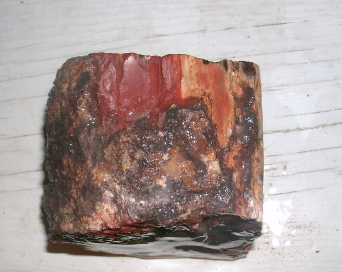 Arizona Rainbow Petrified Wood, over 1 lb, 556g, raw wedge with bark, cabbing, lapidary, jewelry supply, fantastic colors! Large piece