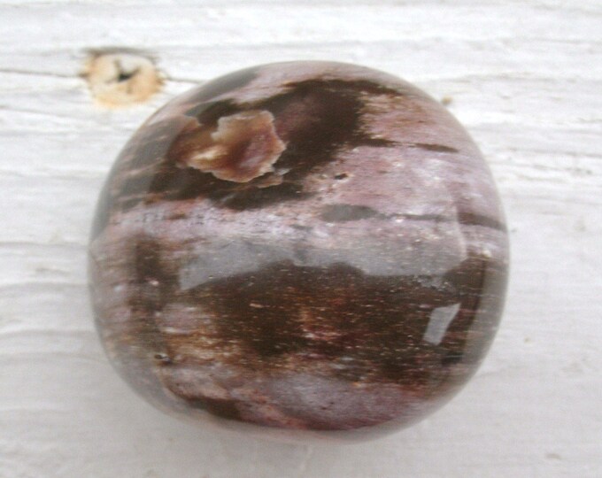 ON SALE Fabulous Petrified Wood freeform polished display specimen, palm stone, wood grain, browns pinkish and even purple hue