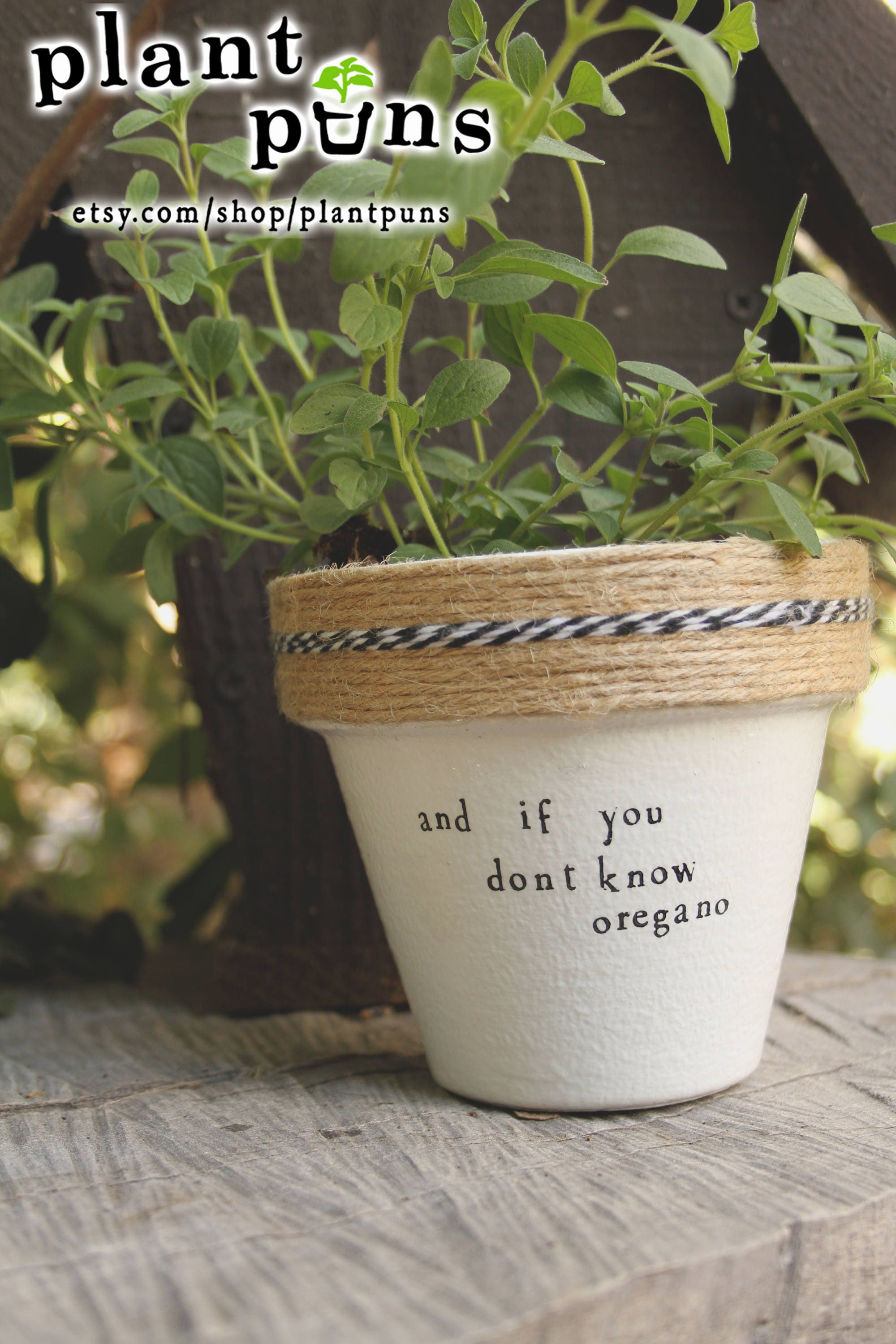 4 And if You Don�t Know Oregano Oregano Herb