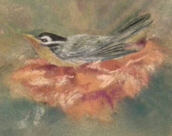 Painting, Robin Nesting, Watercolor and Pastel, Original Art, Small Painting, Spring, Gift, Nature, Matted to Fit 8 X 10in. Frame, Bird,Nest