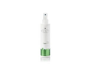 Citrus Caipirissima Volume in fine hair Spray
