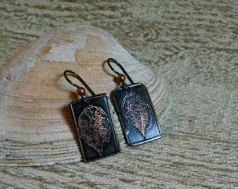 Trilobite Siluriano, Trilobite orecchini, regalo per geologia, biologia, orecchini fossil, geologo, scienziato di regalo, Master student (EBX5004)