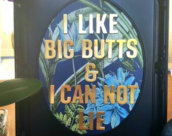 I Like Big Butts Framed Lyric Picture