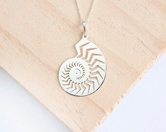 Concha de nautilus | Etsy