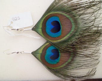 Earrings in 925 sterling silver and peacock feathers