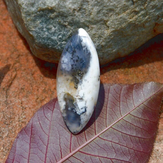 adult dendrite opal