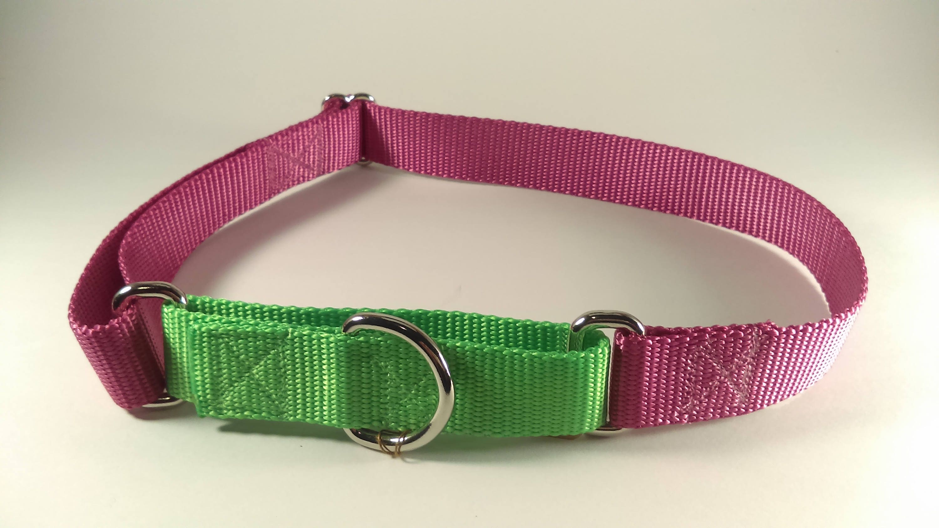 Extra Large Martingale Sports Dog Collar