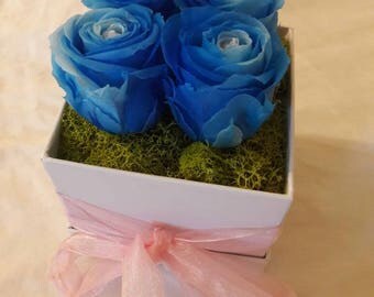 Bi color Immortal Roses in Blue. Preserved Roses. Eternity Flowers. Long lasting ROSES