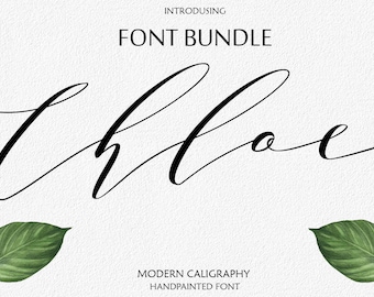 Font Bundle Digital font Brush Script Digital download swash font Handwritten font modern calligraphy font wedding font Cricut Swirly Font