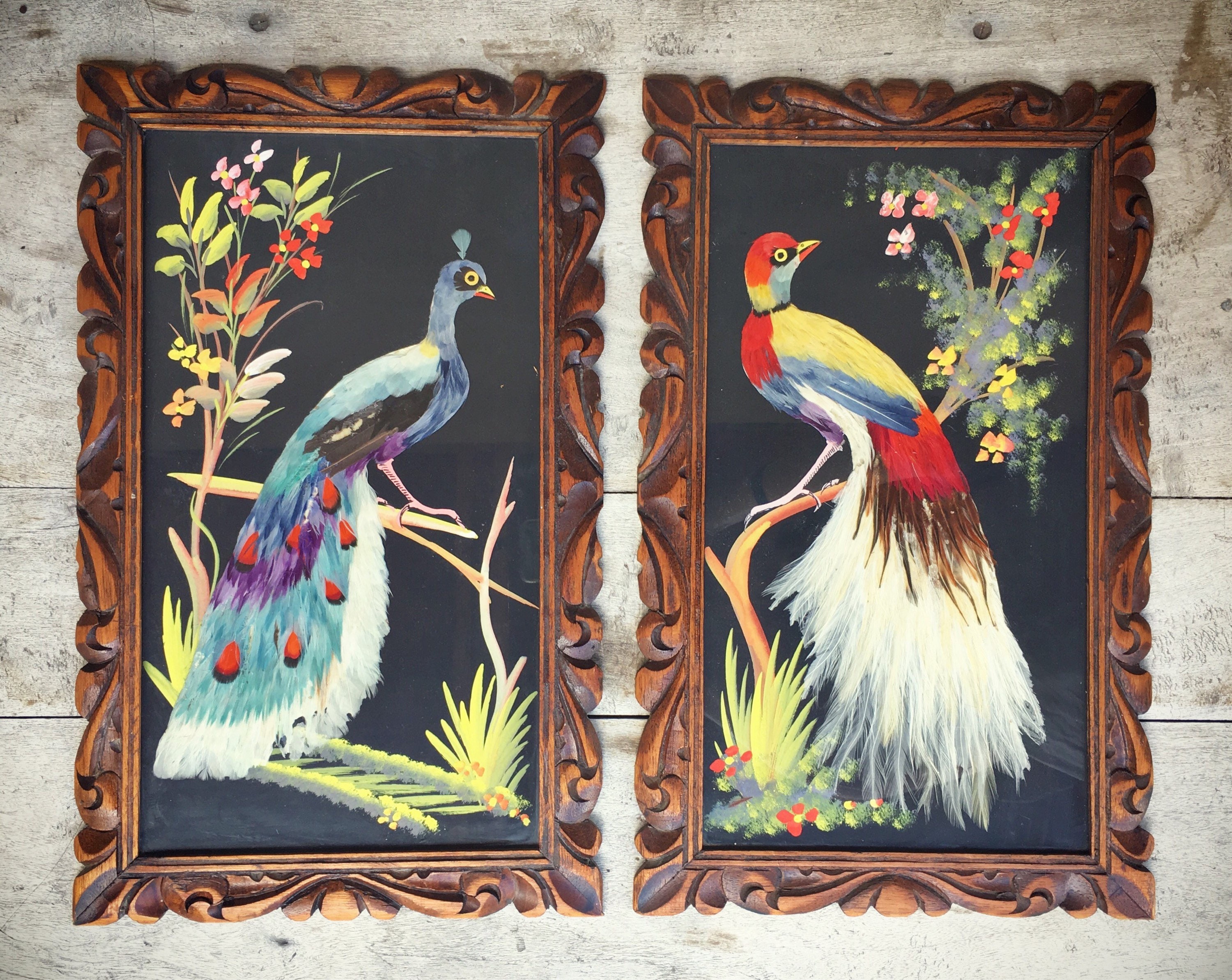 Vintage Mexican feather art birds in ornate wooden frames real feather