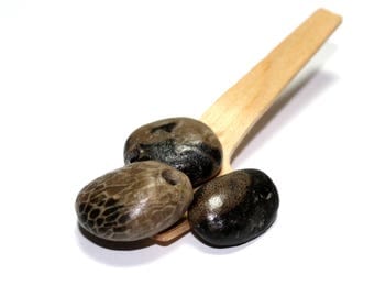 Fossils Beach Stone Drilled Petoskey - River Rock Jewelry Supplies - Crinoid Pebbles Michigan Petosky - Wholesale Jewelry Pendants - Jungle