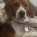 Rhoda0705