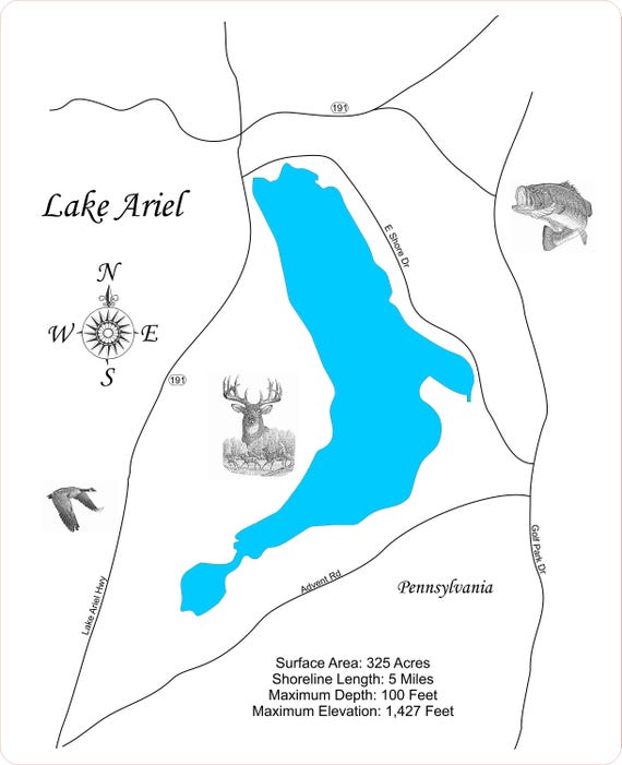 Wood Laser Cut Map of Lake Ariel Pennsylvania Topographical