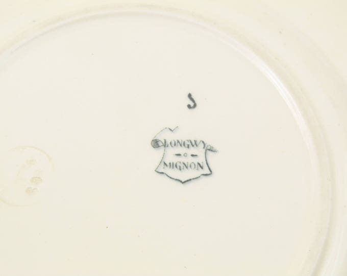 Antique French Ceramic Bird Pattern Plate, Dark Blue on White Blue Tits with Wild Rose Design, Victorian Decorative Dinnerware