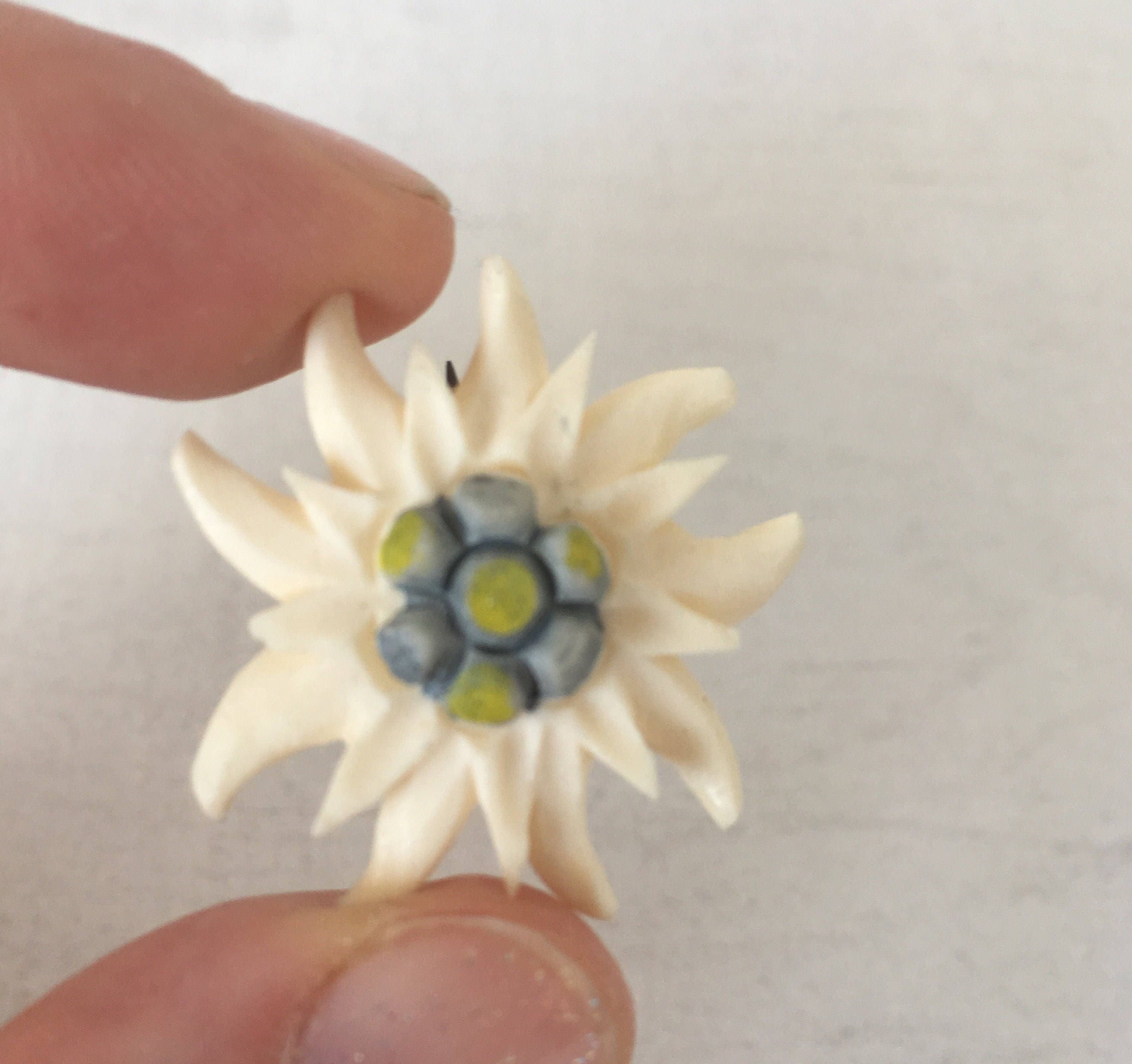 FREE Shipping Vintage Edelweiss Brooch Celluloid Lapel Pin