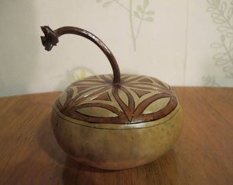 box squash gourd type flat Corsica 6 original