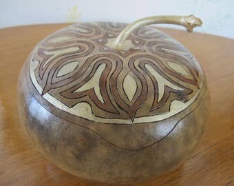 box squash gourd type flat Corsica 18 original