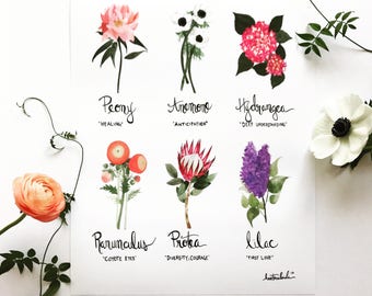 Language of Flowers print