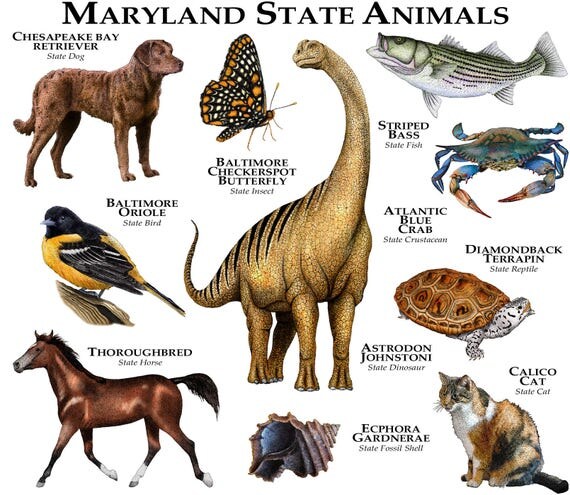 Florida Georgia Line Dog Names Florida Georgia Line Dog Names