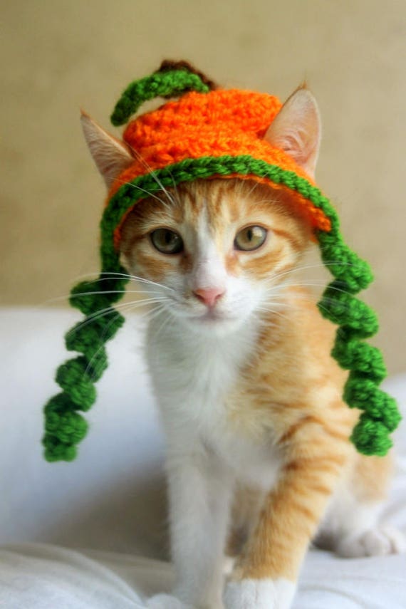 Pumpkin Cat Hat Thanksgiving Cat Hat Fall Hat for Cats