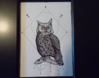 Framed Owl Original Ink Drawing