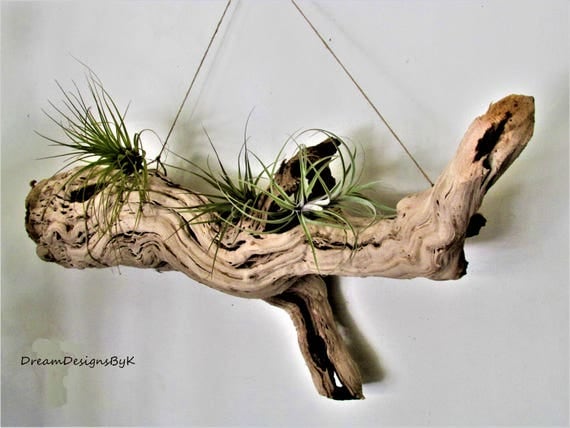 Driftwood wall art-large driftwood planter-driftwood