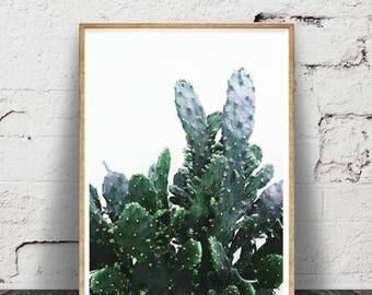 Cactus Print Black and White Photography, Cactus Photo Wall Art, Large Poster, Printable Download, Southwestern Decor, Modern Minimalist