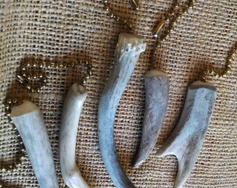 5 lamp pulls, genuine deer antler (ceiling fan, chandelier pulls) 3 tips, 1 whole burr w/main beam, 1 forked point
