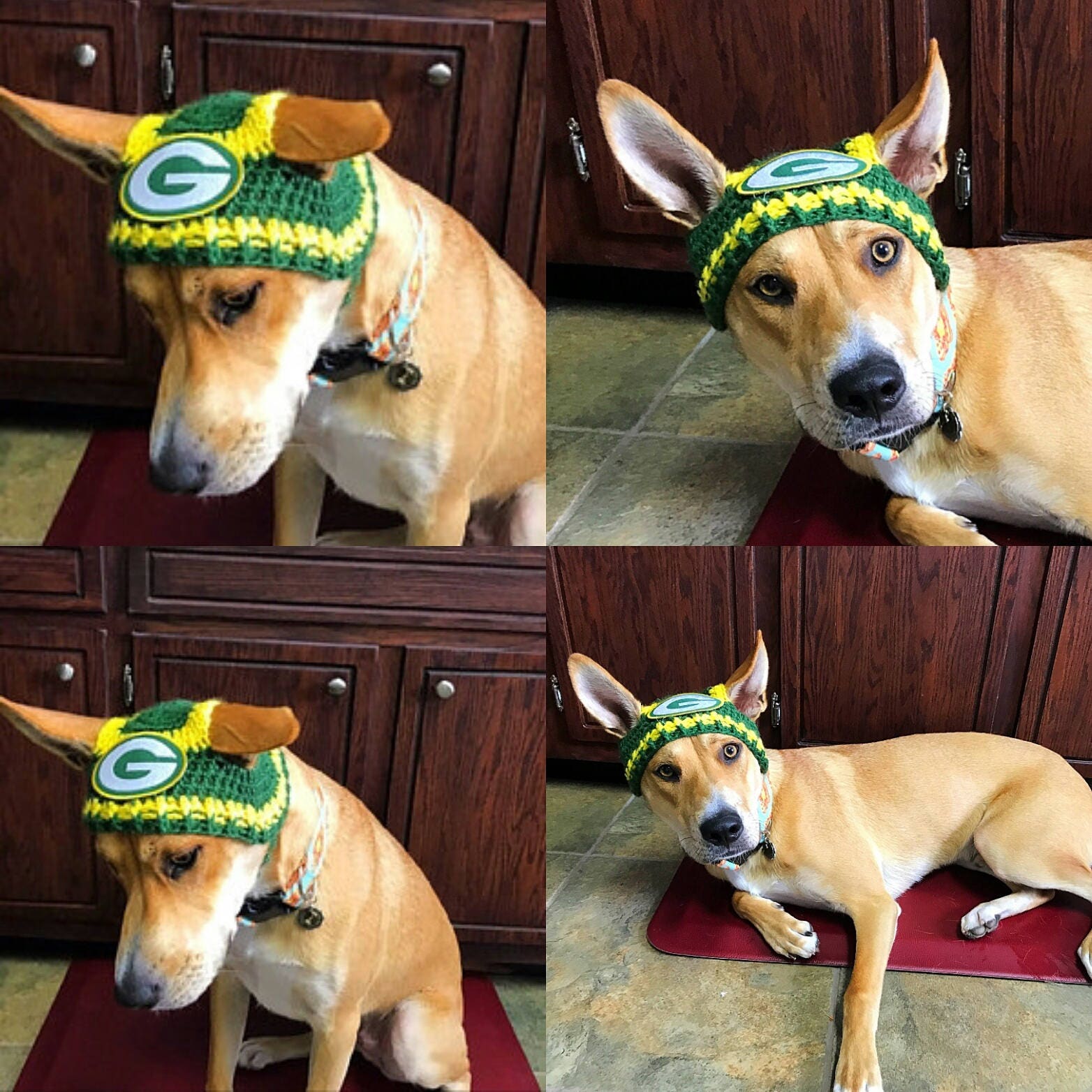 DOG Beanies 4 Any Size Dogs Velcro Both sides Beard&Beanie 4