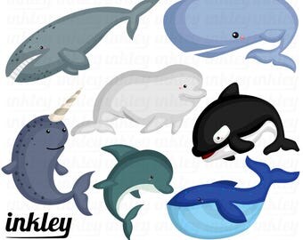 50%OFF!! Whales Clipart - Cute Clipart, Animal Clipart, Fun Clipart, Clipart Set, Adorable Digital Clip Art