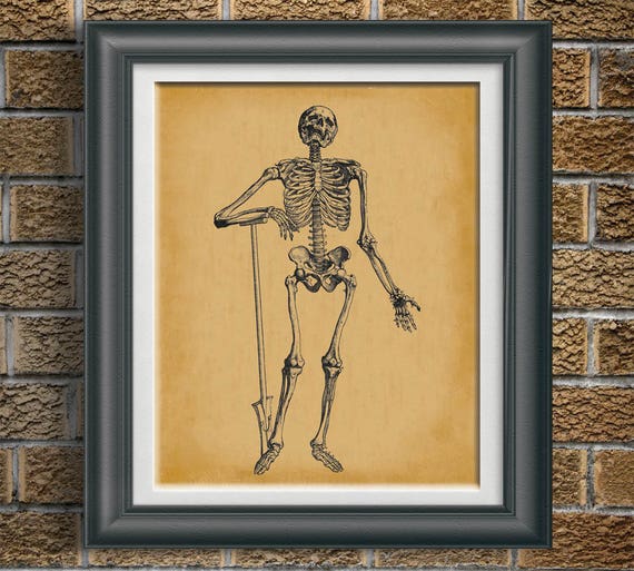 Items similar to Doctor's Office Art Doctors Office Wall Art Doctor