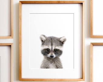 Raccoon print, Woodland animals, PRINTABLE art, Nursery decor, Animal art, Baby animals, Nursery wall art, Kids art,Baby raccoon,Nursery art