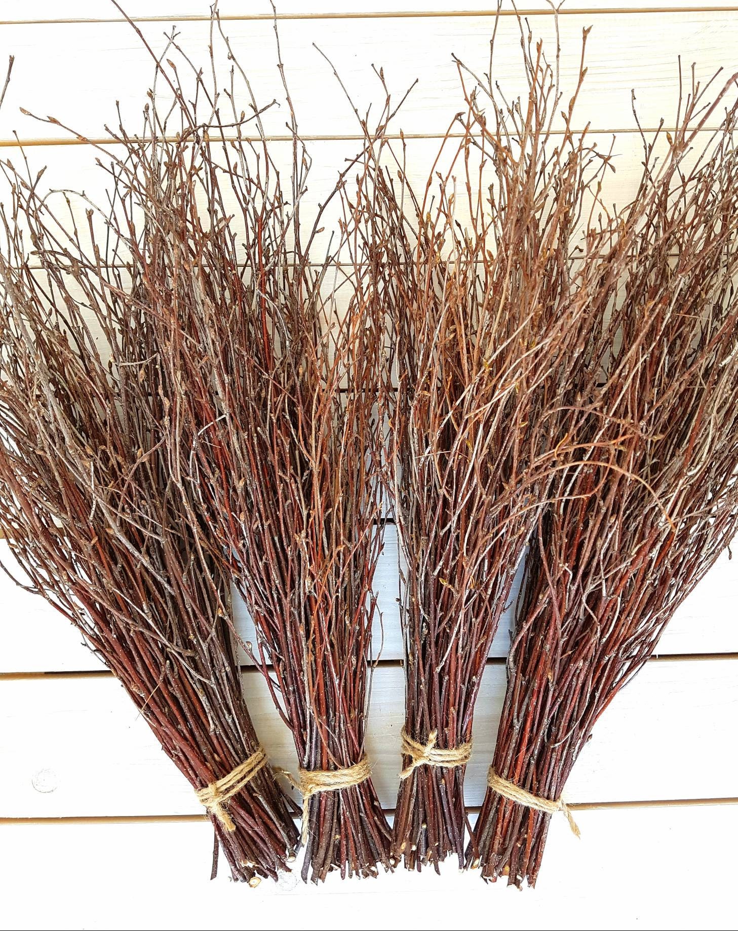 150 birch twigs bundle white birch branchescenterpieces thin 150 birch twigs bundle white birch branchescenterpieces thin