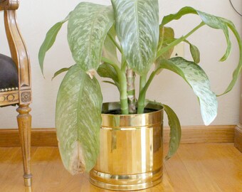 Large Brass Planter, Brass Floor Planter, Brass Plant Pot, Brass Plant Holder, Regency Decor, Plant Pot, Indoor Planter, Solid Brass Pot