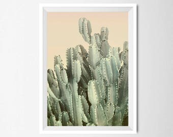 Cactus wall art | Etsy