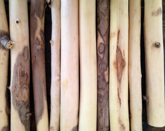 Decorative Branches home decor/hardwood branches/natural decor branches/craft suppy/ naked wood/ eco friendly decor/floral arrangements/