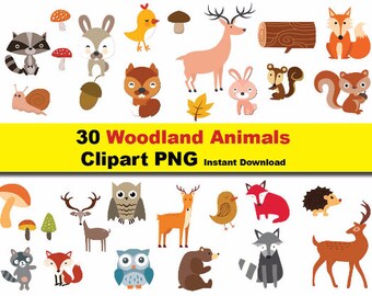 INSTANT DL- 30x woodland animals Clipart - printable Digital Clipart Graphic Instant Download