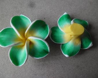 x 1 large Pearl flower polymer nuanced green outline white 3.7 x 3.6 cm