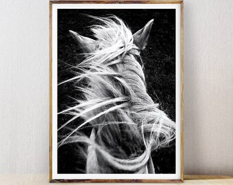 Horse wall art | Etsy