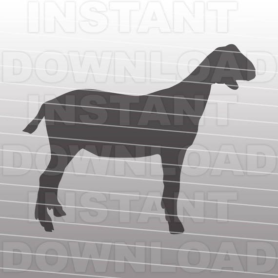 Download Show Goat SVG FileLivestock SVG-Cutting Template Vector Clip