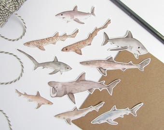 Shark stickers - animal stickers - shark illustration stickers - children's sticker set - hand made shark stickers - shark stationery
