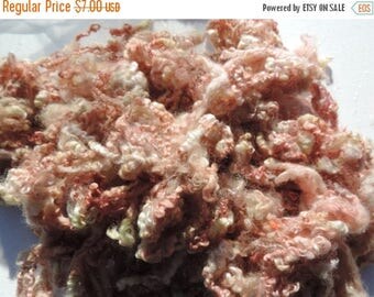 ON SALE Antique Pink Coopworth Sheep Locks 2-3 Inches So Soft 1 Ounce Doll Hair Felting Spinning