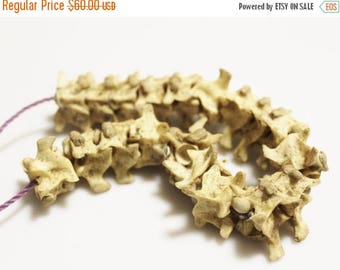 ON SALE Large Real Snake Vertebrae Beads from North Togo, Tribal Beads, Jewelry Supplies (AE33)
