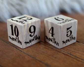 LARGE Baby Milestone Blocks, Baby Month Blocks, Baby Age Blocks, Baby Shower Gift, Photo Blocks, Photo Prop