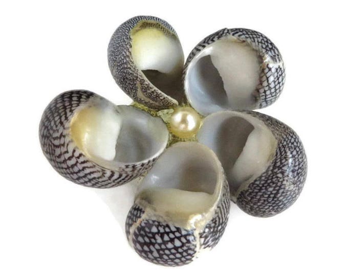 Vintage Sea Shell Brooch, Black & White Shell Pin with Faux Pearl, Natural Shell Pin, Summer Jewelry Gift for Her
